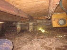 {{brizy_dc_image_alt imageSrc=